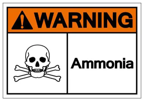 Precautions to Take While Using Ammonia to kill mold