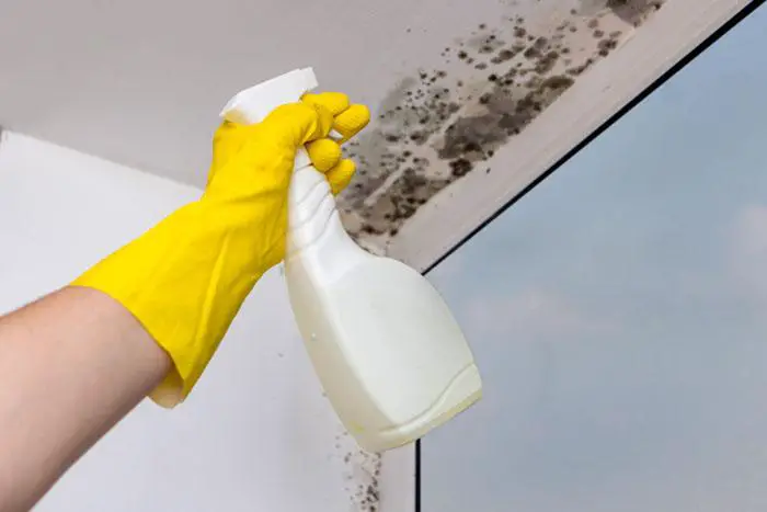 Ammonia for mold - Pros of Using Ammonia to Kill Mold