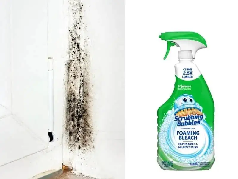 The Effectiveness of Ammonia in Killing Mold | how to get rid of mold in house